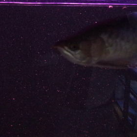 照りつける太陽☀️の画像