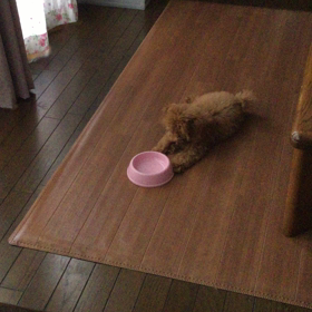 おはようの画像