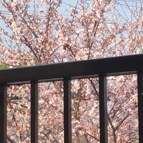 日曜の朝の画像