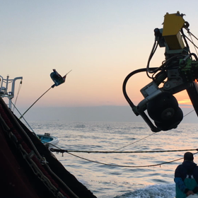 漕出式（こいでしき）の画像