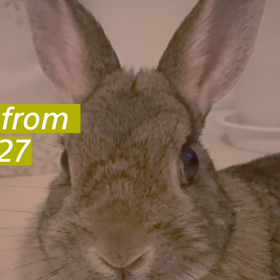 ダブルワークの画像