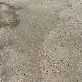 歳をとるってこういうこと？の画像