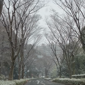 地域猫のことを思う。の画像