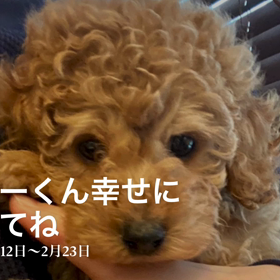 ハローくん幸せになってね☺️の画像