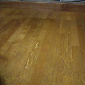 桃ちゃんの貴重映像の画像