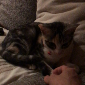 咲良ちゃん❤️の画像