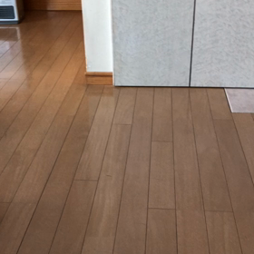 至るところで満喫する猫'sの画像