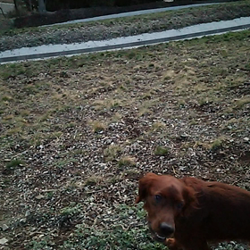 ホークの鍛練法の画像