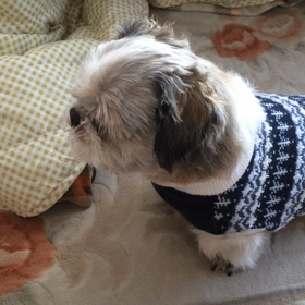 グググって…の画像