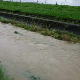 本日の呟き (68)の画像