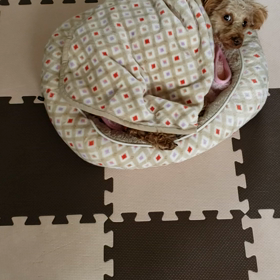 今日も親ばかの画像