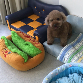 ♪プレイルーム動画♪②の画像