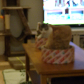 今日は！の画像