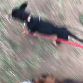 ♪60分遠足♪代々木公園♪3/22②の画像