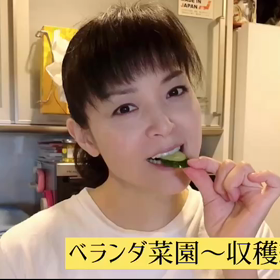 ベランダ菜園日記 54日目【キュウリ１本収穫･･の巻】の画像