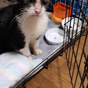 寺岡くん頑張ってます。の画像