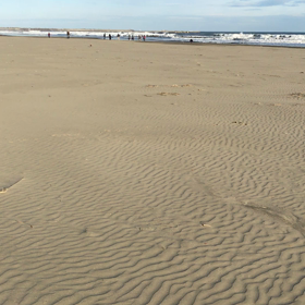 めっちゃ走るやーーーん♬の画像