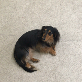 ♪プレイルーム動画♪①の画像