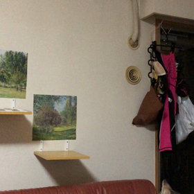 先住猫デールとマリーの激闘動画マリー危ないよーの画像