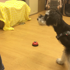 やっぱり鼻派。の画像