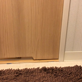 ＊ 番外編 ~動画~の画像