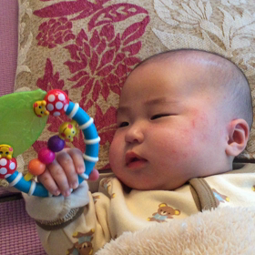 おもちゃをたべる。の画像