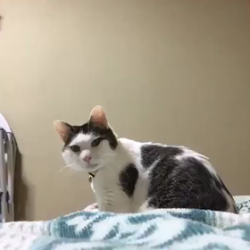 固まる…？の画像