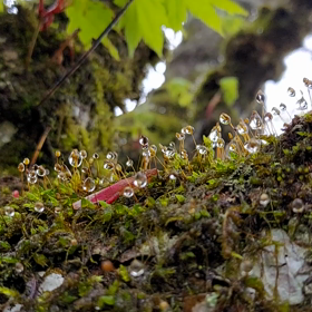 ぷるぷる～♪【ブログ】の画像
