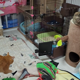 朝ごはんだよの画像