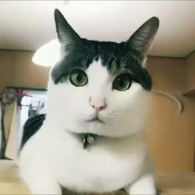 空のきもち。の画像