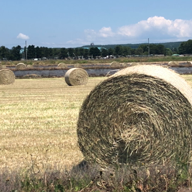 こんなはずじゃ無かった①の画像