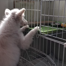 可愛いそら…の画像