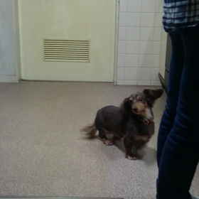 ハイテンションスイッチの画像