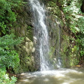 出雲デジタルヒーリングパート2の画像