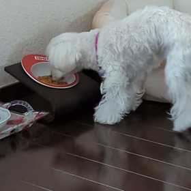 おはようございます☀の画像