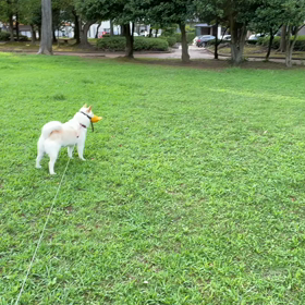 オヤツのおばちゃんの画像