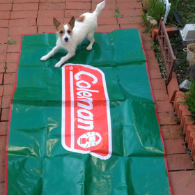 好きやけど…の画像