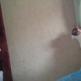 突然の更新の画像