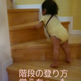 上へ上への画像