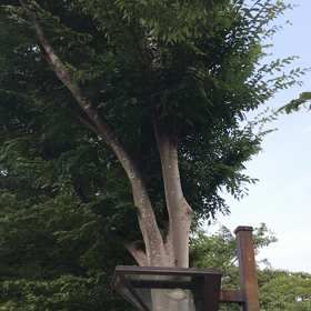 暑さが増してすみませんの画像