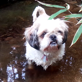 今日のお散歩！の画像
