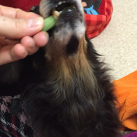 美味しい？の画像