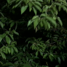 ~台風真っ只中~の画像