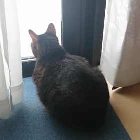 真剣な眼差しの画像