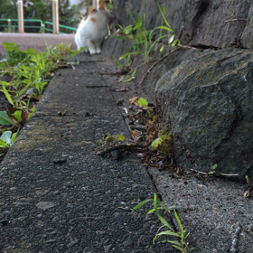 コミュニケーション。の画像