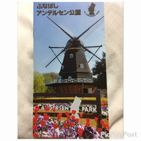 (○'н'○)の画像