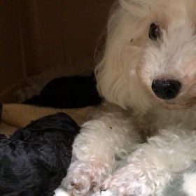 久しぶりの晴天の画像