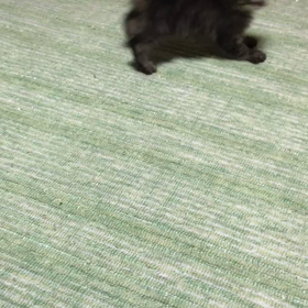 遊ぶ遊ぶの画像