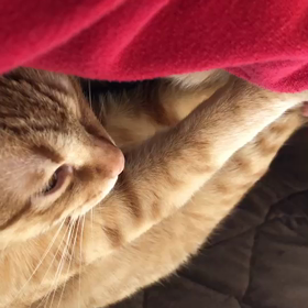 2018年2月5日の画像