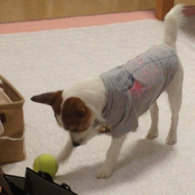 ベロベロまん。の画像